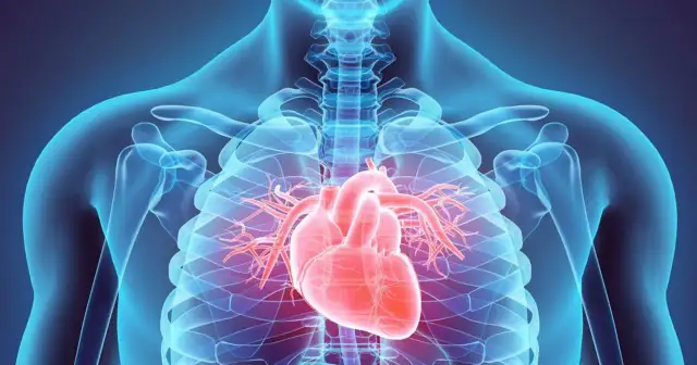 Anatomia serca w schemacie. Czerwone serce na tle niebieskiego szkieletu. Warto znać zapalenie mięśnia sercowego objawy.