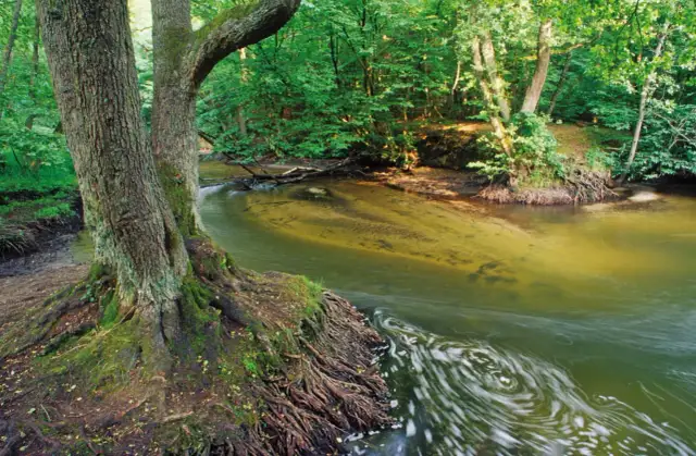Jezioro Lgińsko - raj dla wędkarzy i miłośników rekreacji wodnej