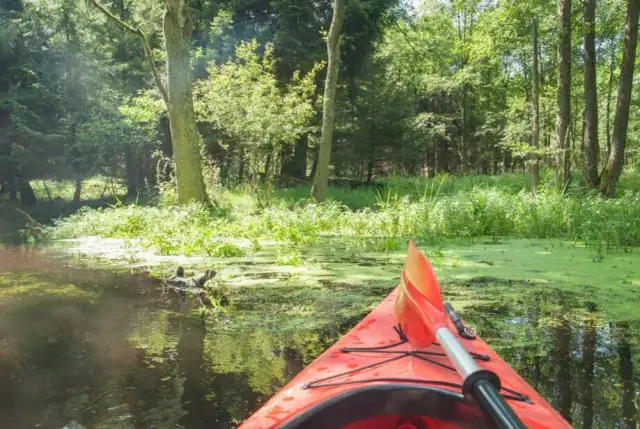 Dwudniowy spływ kajakowy: przewodnik po trasach, sprzęcie i kosztach
