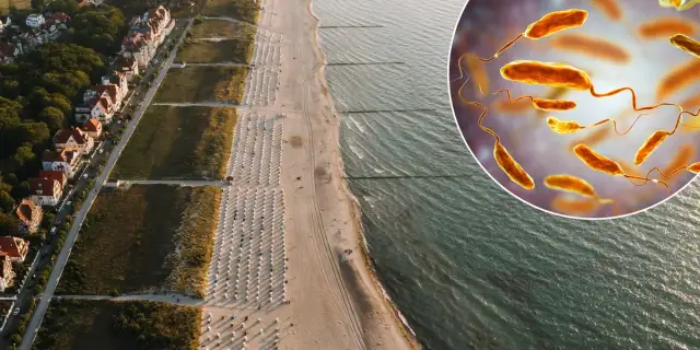 Protisty w Bałtyku: niewidzialni bohaterowie czy ciche zagrożenie?