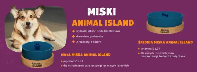 Jak wybrać idealną miskę dla psa - unikaj najczęstszych błędów