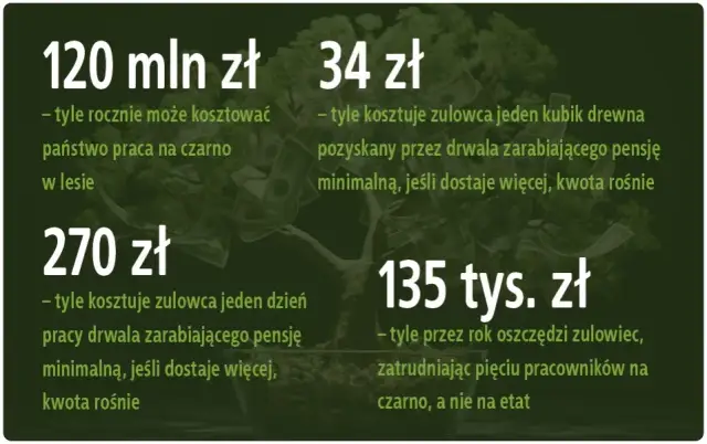 Ile można zarobić na czarno w Polsce: Realne stawki w różnych branżach