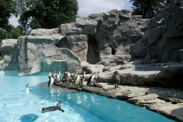 Co robić w Krakowie z dzieckiem? Odkryj najlepsze atrakcje rodzinne