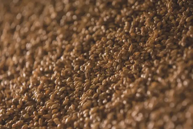 Słód jęczmienny na laktację: jak stosować? Praktyczny poradnik