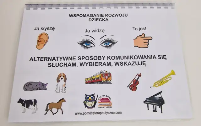 Alternatywne sposoby porozumiewania się osób niesłyszących, które działają