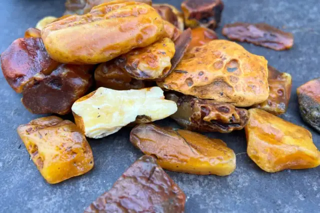 Złoto Bałtyku sezon 5 kiedy się zaczyna i jak wygląda harmonogram