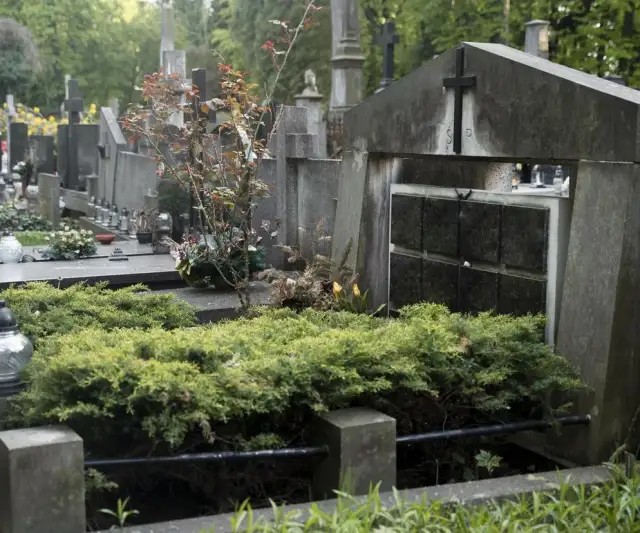 Jak usunąć chwasty na cmentarzu bez uszkadzania nagrobków