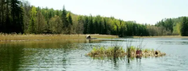 Cennik łowiska Grzymalin – poznaj koszty i uniknij nieprzyjemności