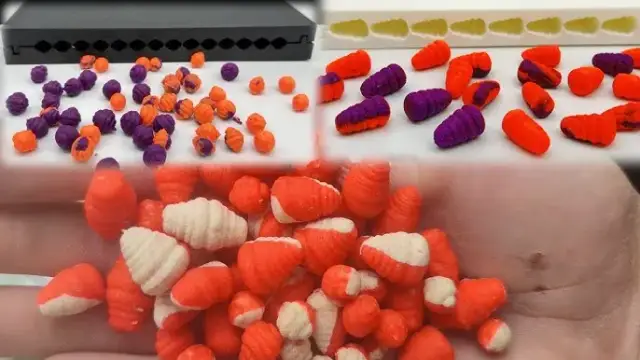 Przynęty na ryby: jaki wybrać? Poradnik + przepisy na domowe wabiki