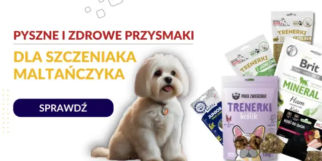 Jakie smakołyki dla szczeniaka? Wybierz mądrze! Porady eksperta