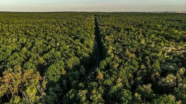Najbliższe góry z Łodzi - idealne miejsca na weekendowe wypady
