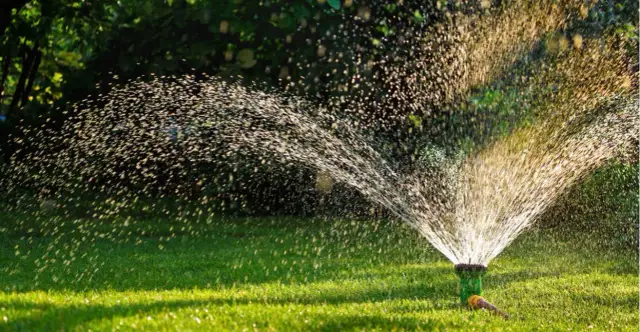 Jak wybrać zraszacz do ogrodu? Poradnik, typy i zastosowanie