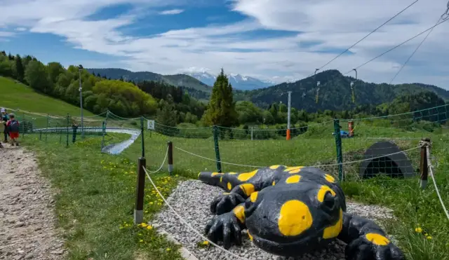 Krościenko nad Dunajcem: Odkryj Pieniny! Szlaki, spływ i atrakcje