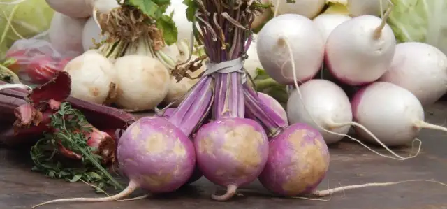 Jakie warzywa nie nadają się do surówek i dlaczego warto je znać