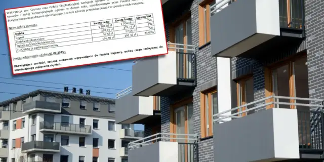 Ile kosztuje wynajem mieszkania w Poznaniu? Ceny, które zaskakują