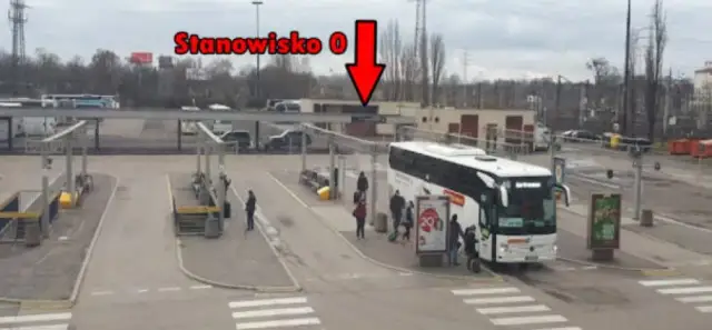 Eko Bus Dworzec Zachodni: Przewodnik po poziomie -1. Nie zgub się!