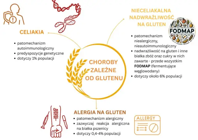 Alergia na gluten: objawy, różnice, diagnoza. Kiedy do lekarza?