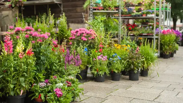 Najlepsze internetowe sklepy ogrodnicze, które warto polecić