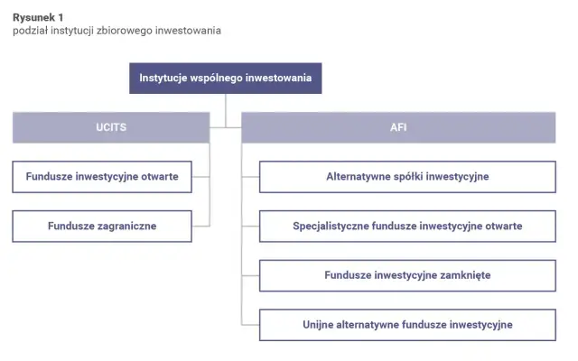 Towarzystwo funduszy inwestycyjnych co to? Kluczowe informacje i funkcje