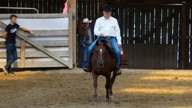 Jeździectwo western: Kluczowe techniki, sprzęt i organizacje w Polsce