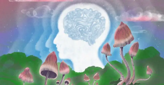 Sylwetka głowy z mózgiem, otoczona grzybami i krajobrazem.
