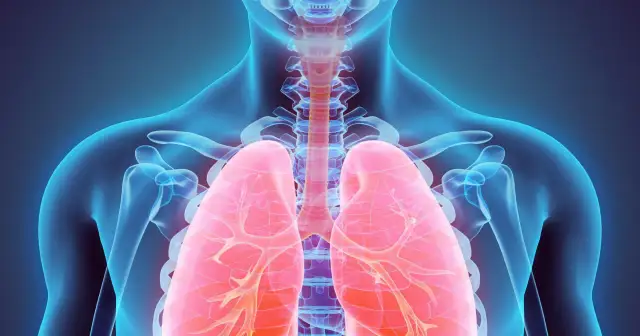 Przedstawienie płuc i klatki piersiowej, ilustrujące duszności na tle nerwowym objawy.