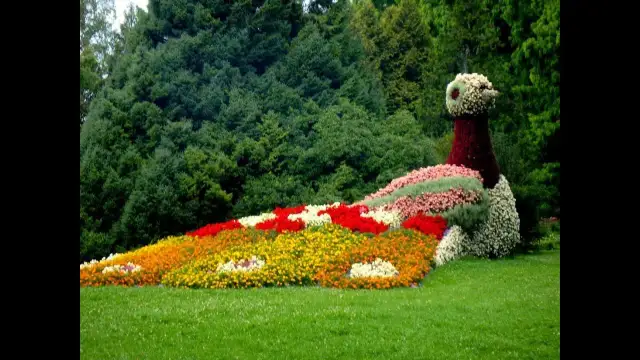 Wyspa kwiatów jezioro bodeńskie: piękne ogrody i atrakcje, które musisz zobaczyć