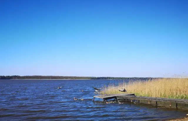 Jezioro Sarbsko: Wędkowanie 2026 Zezwolenia, ryby i najlepsze łowiska