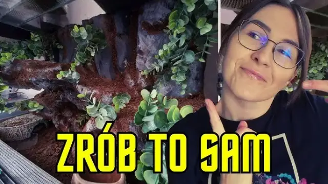 Jak zrobić ściankę do terrarium tropikalnego, unikając najczęstszych błędów