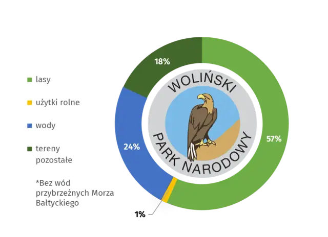 Dlaczego bielik jest symbolem Wolińskiego Parku Narodowego i jego znaczenie