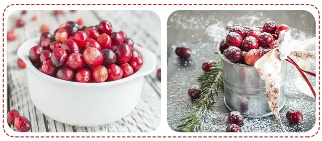 Sezon na żurawinę: kiedy zbierać i jak przechowywać?