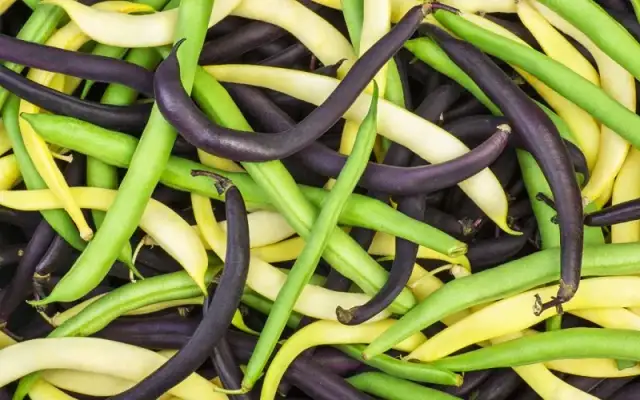 Kiedy jest sezon na fasolkę szparagową? Sprawdź, by nie przepłacać!