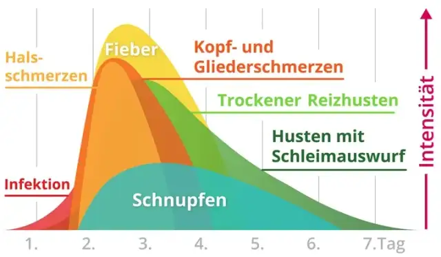 Grippe ohne Fieber Symptome: So erkennen Sie die versteckten Anzeichen