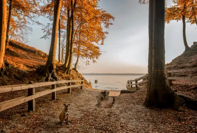 Najlepsze miejsca na spacer w Gdyni, które musisz odwiedzić