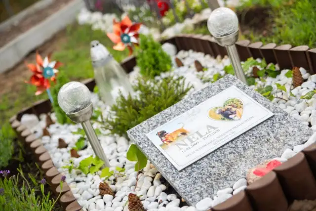 Nagrobek Neli, psa, który odszedł. Pytanie "ile kosztuje spalenie kota" nie ma tu zastosowania.