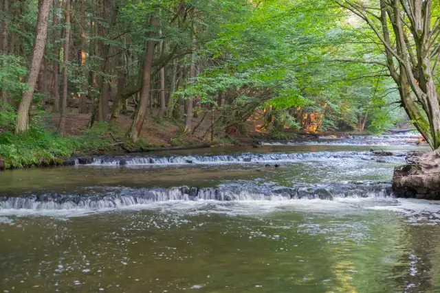 Wycieczka po Roztoczu - co warto zobaczyć