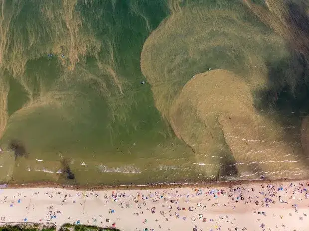 Sinice w Bałtyku: Jak rozpoznać je wizualnie i pływać bezpiecznie?