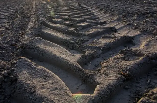 Ile trzeba mieć ziemi, żeby nie płacić podatku od nieruchomości? Oto szczegóły