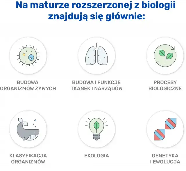 Co na maturę z biologii? Najważniejsze tematy i skuteczne metody nauki