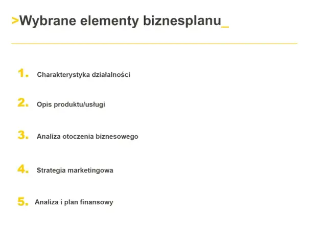 Co zawiera biznes plan? Kluczowe elementy, które musisz znać