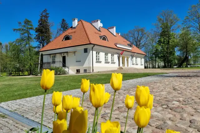 Łosice Dolnośląskie: Co warto zobaczyć i zwiedzić w Łosicach?