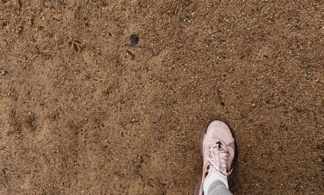  Ile waży metr sześcienny ziemi? Sprawdź, jaka jest masa 1m3 ziemi