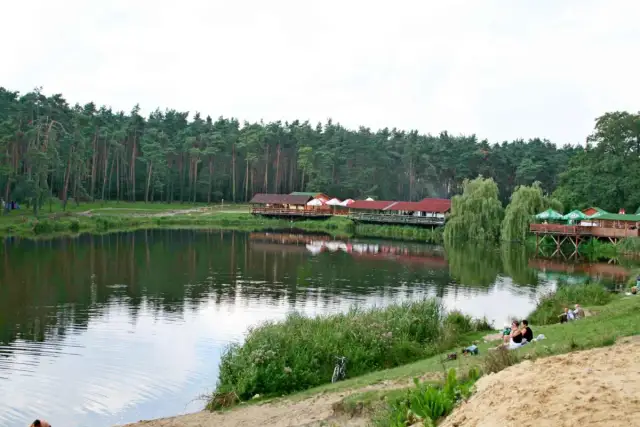 Atrakcje w Złotym Potoku, które zaskoczą każdego turystę
