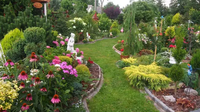 Ogród krok po kroku: Twój przewodnik po planowaniu i aranżacji