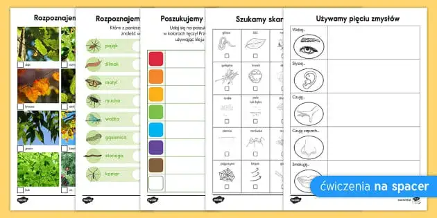 Zajęcia terenowe z przyrody karty pracy - skuteczne metody nauki w terenie