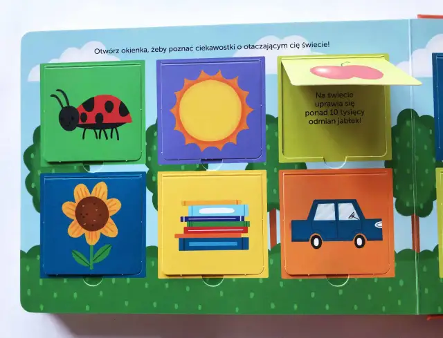 Kolorowe okienka z obrazkami (biedronka, słońce, jabłko, kwiat, książki, auto) to pomoce dydaktyczne dla dzieci niesłyszących.
