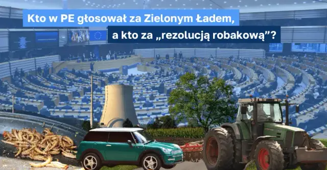 Kto głosował za zielonym ładem? Oto pełna lista europosłów