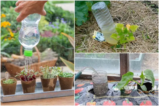 Upcykling butelek PET: 50+ pomysłów na dom i ogród