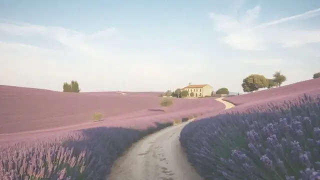 Niezapomniane atrakcje w Prowansji: odkryj piękno regionu