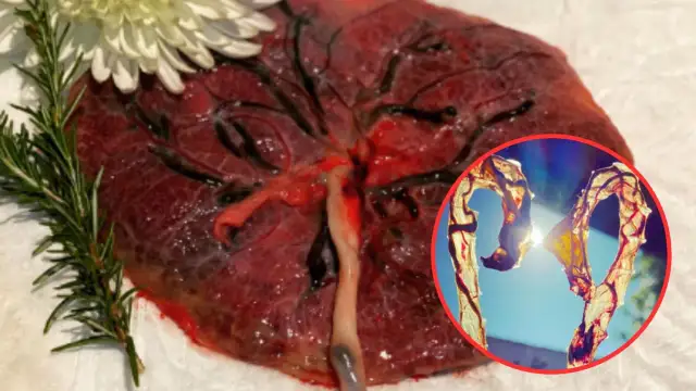 Co robią z łożyskiem po porodzie? 5 zaskakujących możliwości